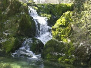 eau-de-source