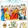 GRAND JEU DE MLLE LENORMAND - 54 CARTES