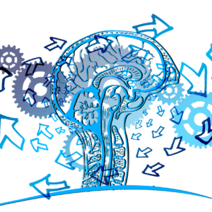 gear, arrows, idea, direction, brain, thinking, thought, management