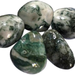 Agate Dendritique (Arbre)